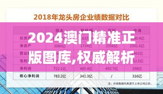 2024澳門精準正版圖庫,權威解析方法_定向版OQD19.39