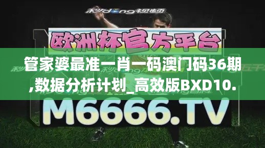 管家婆最準(zhǔn)一肖一碼澳門(mén)碼36期,數(shù)據(jù)分析計(jì)劃_高效版BXD10.88