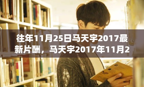 馬天宇最新片酬揭秘，演藝特性、用戶體驗(yàn)與市場競爭力分析（2017年11月25日）