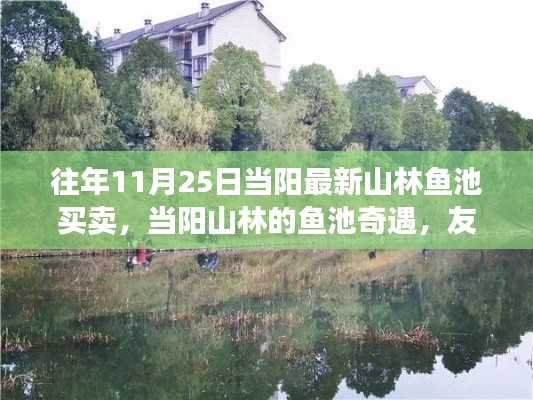 當陽山林魚池買賣，友情、家園與溫馨奇遇