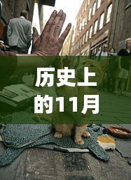 歷史上的貓咪故事與正能量，探索貓咪的世界與變化的力量