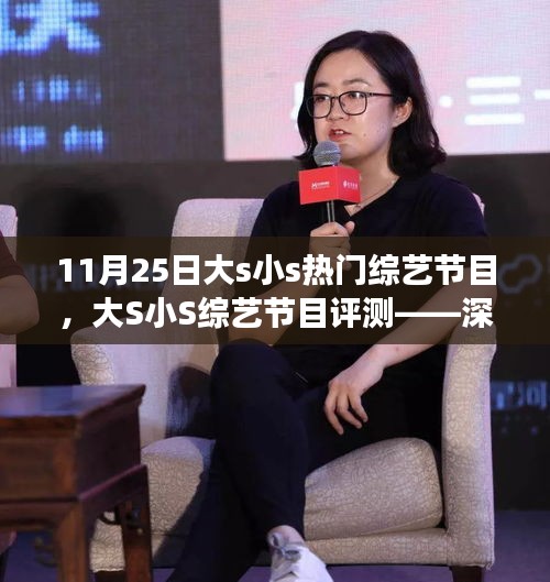 大S小S熱門綜藝節(jié)目深度解析，特性、體驗(yàn)與目標(biāo)受眾評測