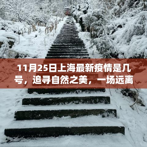 上海疫情后美麗探索，追尋自然之美，遠(yuǎn)離塵囂的心靈之旅（最新疫情日期報道）