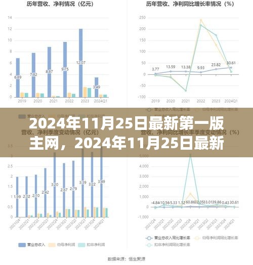 某某觀點(diǎn)下的深度剖析，2024年最新版主網(wǎng)探析與預(yù)測(cè)