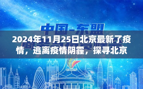 北京疫情最新動(dòng)態(tài)下的自然秘境之旅，探尋希望之光（2024年11月25日）