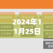2024年11月25日通訊新聞，科技革新、社會(huì)變革與全球動(dòng)態(tài)