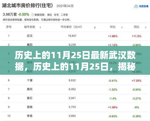 揭秘武漢最新數(shù)據(jù)報告，歷史上的11月25日數(shù)據(jù)解析