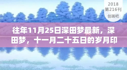 深田夢十一月印記，歲月留聲，回憶往年今日風(fēng)采