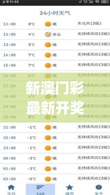 新澳門彩最新開獎記錄查詢表下載,全面信息解釋定義_影像處理版GOY5.85