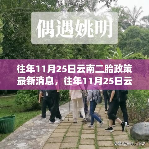 云南二胎政策最新解讀及消息發(fā)布，時間指向往年11月25日