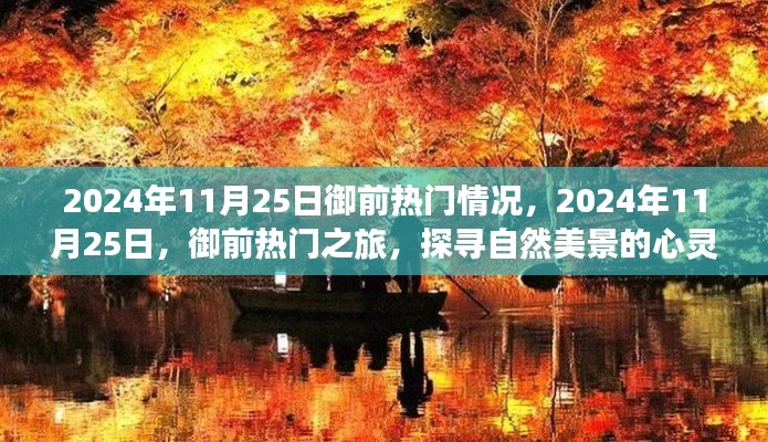 2024年11月28日 第77頁