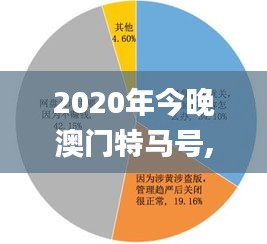 2020年今晚澳門特馬號,機(jī)制評估方案_超高清版FCA14.47