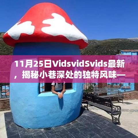 探訪隱藏版寶藏小店VidsvidSvids，小巷深處的獨(dú)特風(fēng)味揭秘