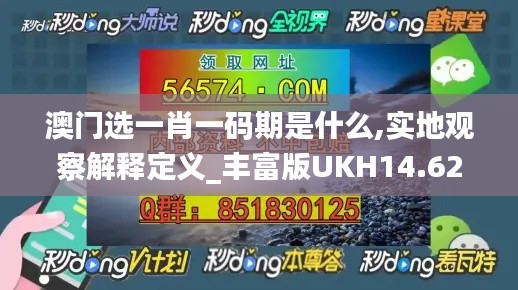 澳門選一肖一碼期是什么,實地觀察解釋定義_豐富版UKH14.62