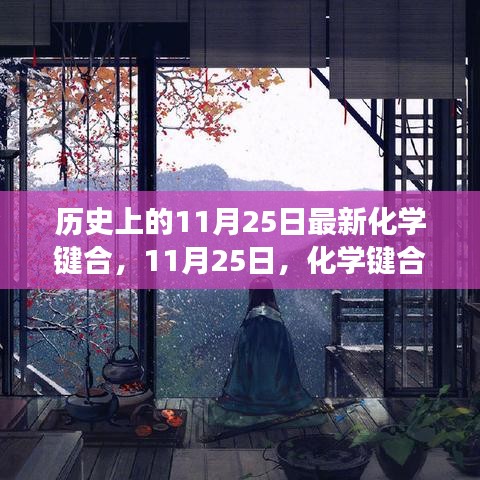11月25日化學(xué)鍵合中的溫情日常，友情與陪伴的感人故事