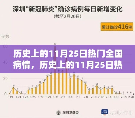 歷史上的11月25日全國疫情深度解析與評(píng)測(cè)