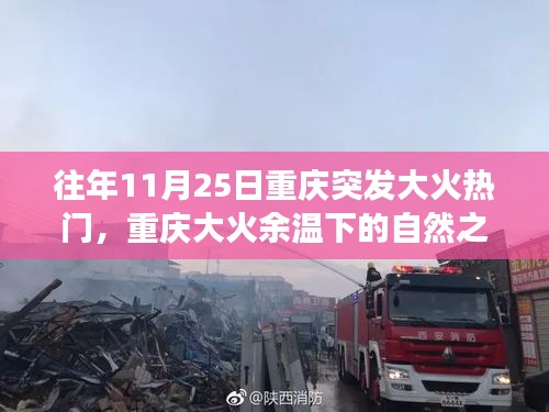 重慶大火余溫下的心靈之旅，尋找內(nèi)心平靜的冒險(xiǎn)之旅