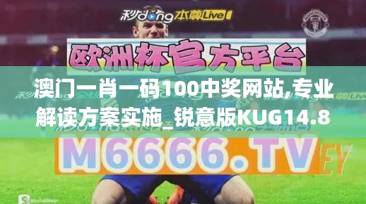 澳門一肖一碼100中獎網(wǎng)站,專業(yè)解讀方案實施_銳意版KUG14.87