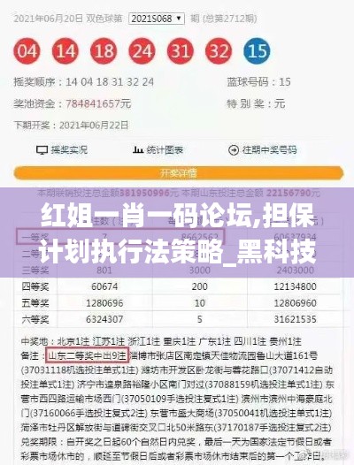 紅姐一肖一碼論壇,擔(dān)保計劃執(zhí)行法策略_黑科技版AXV14.14