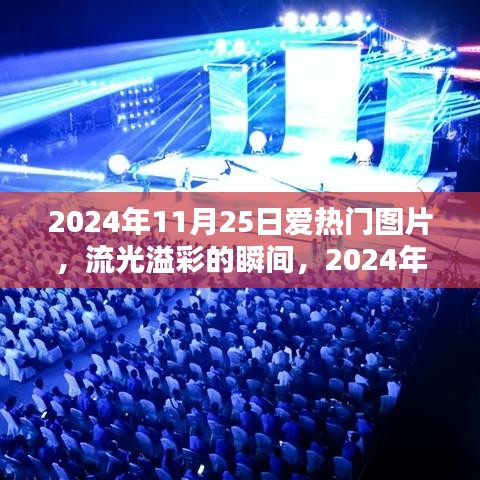 2024年11月25日愛熱門圖片回顧，流光溢彩的瞬間