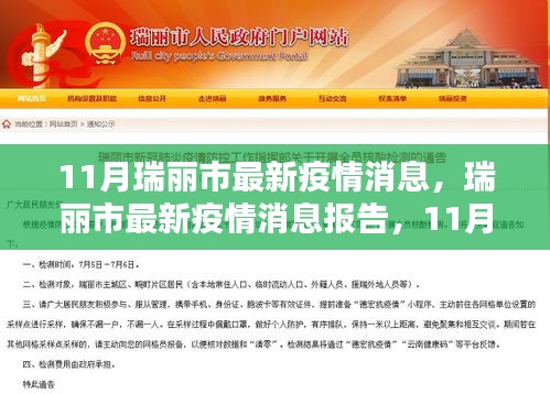 瑞麗市最新疫情報(bào)告，11月動(dòng)態(tài)更新與要點(diǎn)解析
