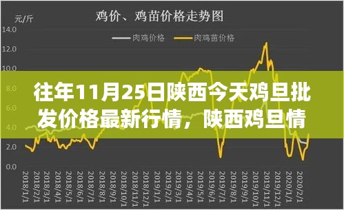 陜西雞旦情緣，批發(fā)價(jià)格最新行情與友情陪伴的溫馨故事