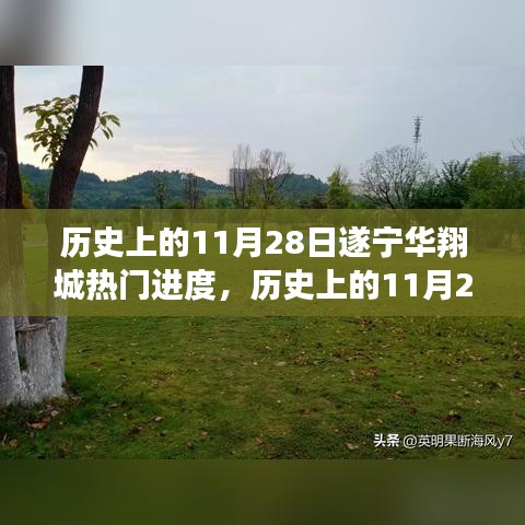 歷史上的11月28日遂寧華翔城建設(shè)進展，深度解析與觀點闡述