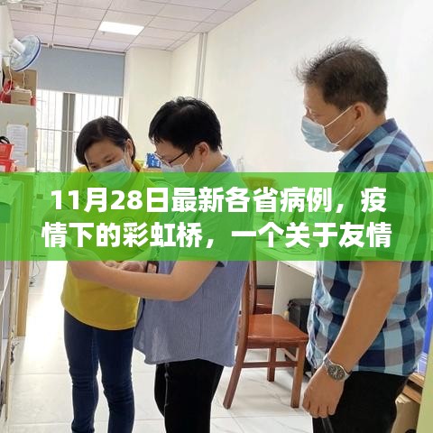 疫情下的彩虹橋，友情與希望的溫馨故事（最新各省病例報道）