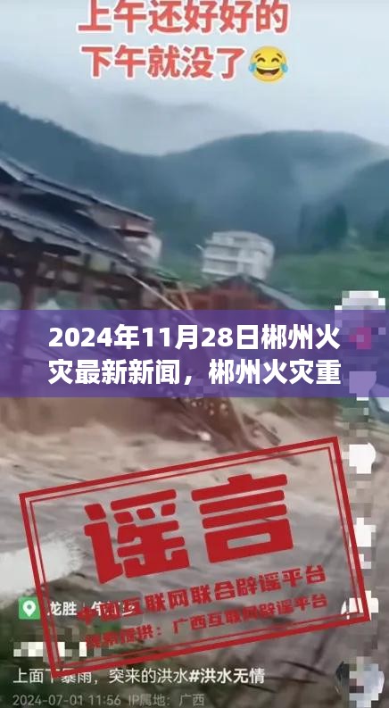 2024年11月28日郴州火災(zāi)重大事件，歷史瞬間的深遠影響與最新進展