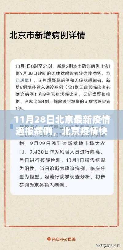 北京疫情最新通報，共同守護家園的抗疫進展（11月28日）