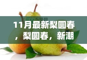 梨圓春新潮流下的文化現(xiàn)象解讀與反思，11月最新觀察