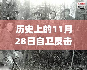揭秘歷史上的重要時刻，11月28日自衛(wèi)反擊最新規(guī)定及其背后的故事揭秘