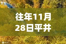 平井凌的秋日秘境之旅，探索自然美景，內(nèi)心寧?kù)o的尋覓之路