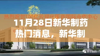 揭秘新華制藥的神秘特色小店，小巷深處的熱門消息與大新聞