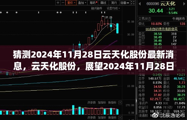 云天化股份展望，揭秘未來(lái)動(dòng)態(tài)與影響，最新消息預(yù)測(cè)