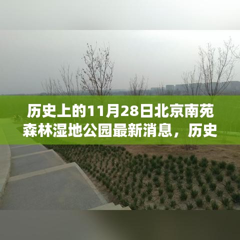 北京南苑森林濕地公園發(fā)展動態(tài)，歷史上的11月28日最新消息揭秘