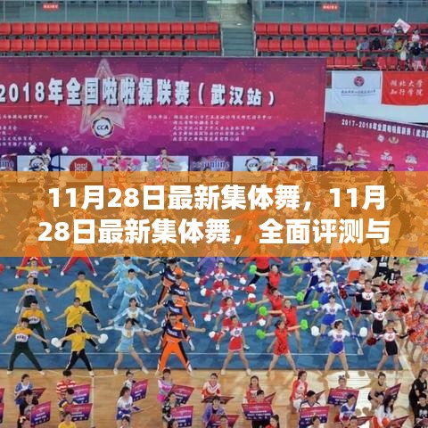 11月28日最新集體舞，全面評測與深度介紹