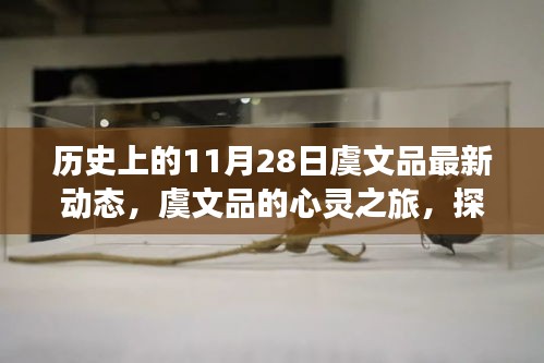 歷史上的11月28日虞文品最新動(dòng)態(tài)，探尋自然美景的心靈之旅