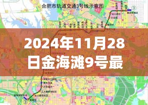 2024年11月28日金海灘9號最新動態(tài)揭秘，回顧與展望