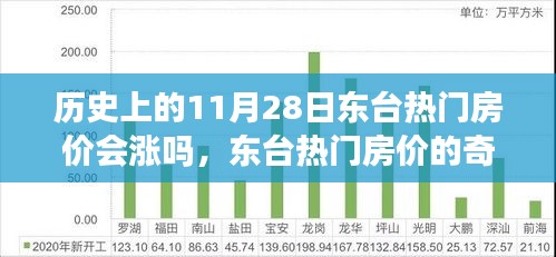 東臺熱門房價探秘，歷史與未來的奇妙交織，溫馨故事中的房價走勢預(yù)測。