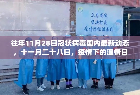 11月28日冠狀病毒國內(nèi)最新動態(tài)，疫情下的溫情與友情紐帶