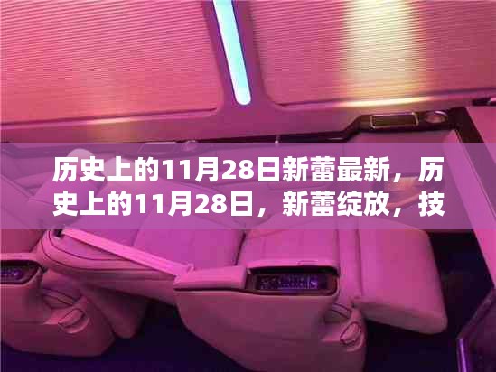 歷史上的11月28日，新蕾綻放的技能進(jìn)階指南