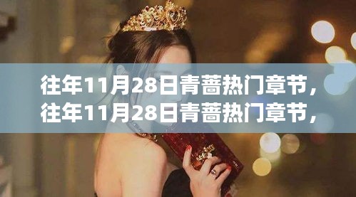 往年11月28日青薔熱門章節(jié)深度解析與讀者心得分享