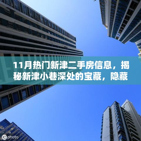 揭秘新津二手房熱潮，小巷深處的寶藏與特色小店盤點