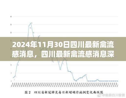 2024年11月30日四川禽流感最新消息深度解析與評測