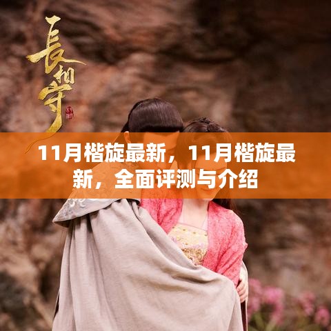 最新評測與介紹，11月楷旋全面概覽