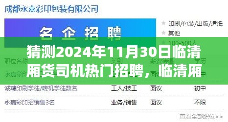 臨清廂貨司機(jī)熱門招聘趨勢(shì)展望，行業(yè)洞察至2024年11月30日