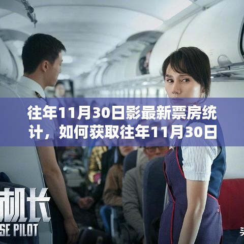 往年11月30日電影票房統(tǒng)計(jì)詳解，獲取最新票房數(shù)據(jù)的步驟指南