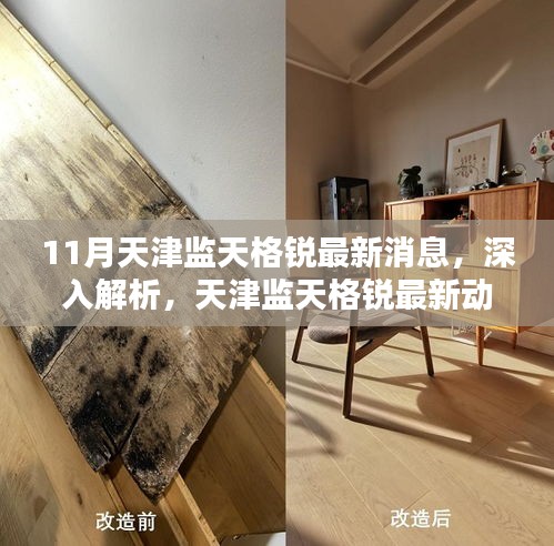 天津監(jiān)天格銳最新動態(tài)深度解析與全面評測（11月最新消息）