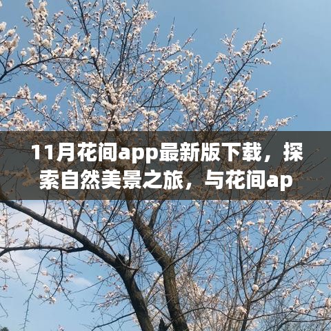 最新花間app下載，探索自然美景，尋找內心桃花源之旅